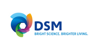 DSM